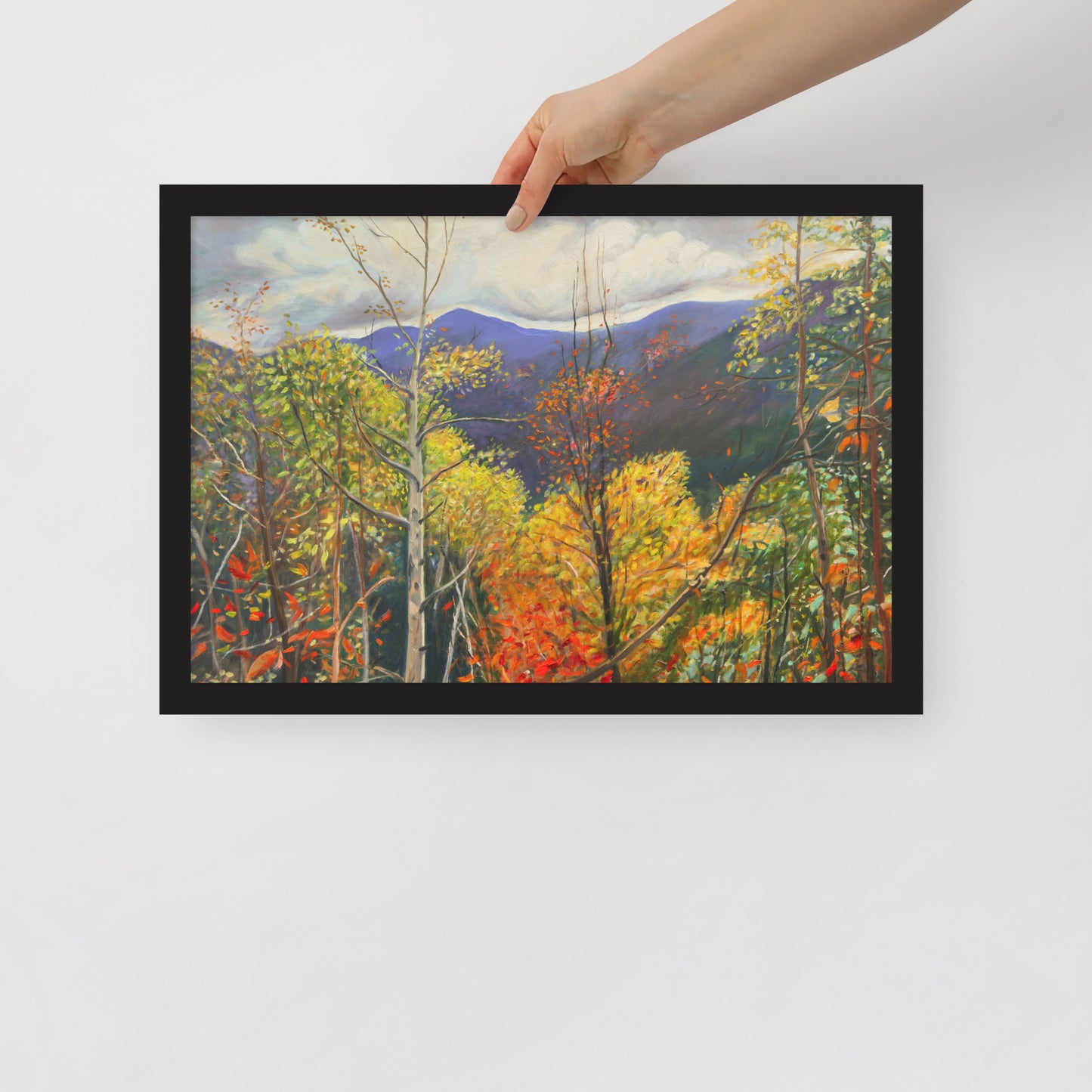 Fall in Adirondacks 3 - Framed Matte Paper Poster